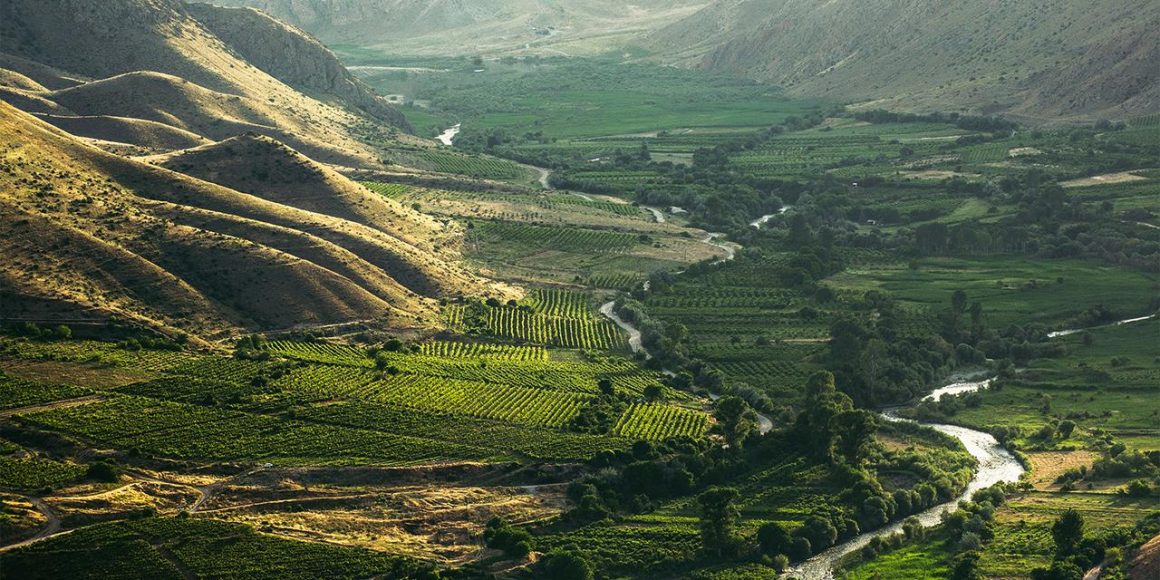 La résurgence viticole de la région de Vayots Dzor en Arménie