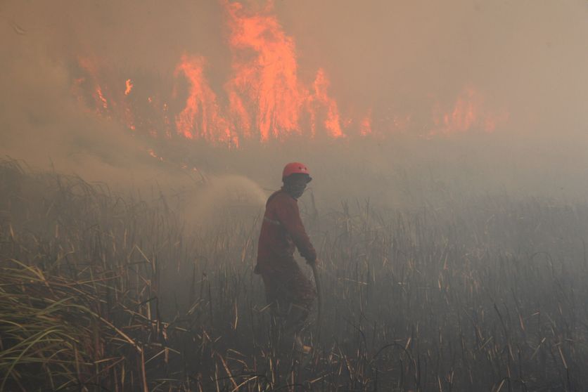 Wildfire breaks out in Indonesia Les Feux de Forêt Ravagent l’Archipel Indonésien