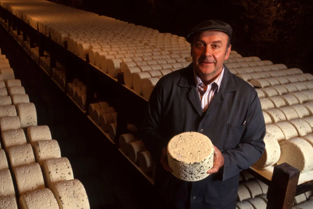 639c6d84-eac1-49f0-8053-eb390ac230b6 Les Microorganismes des Fromages Suisses Révèlent l’Histoire Agricole
