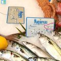 Techniques de pêche et leurs origines culturelles