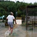 Crues et inondations : Un épisode méditerranéen violent frappe le sud-est de la France