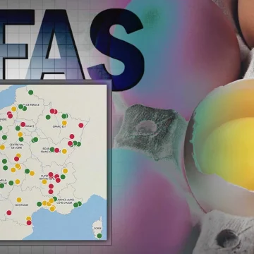 Camille Étienne expose les dangers des PFAS dans son livre