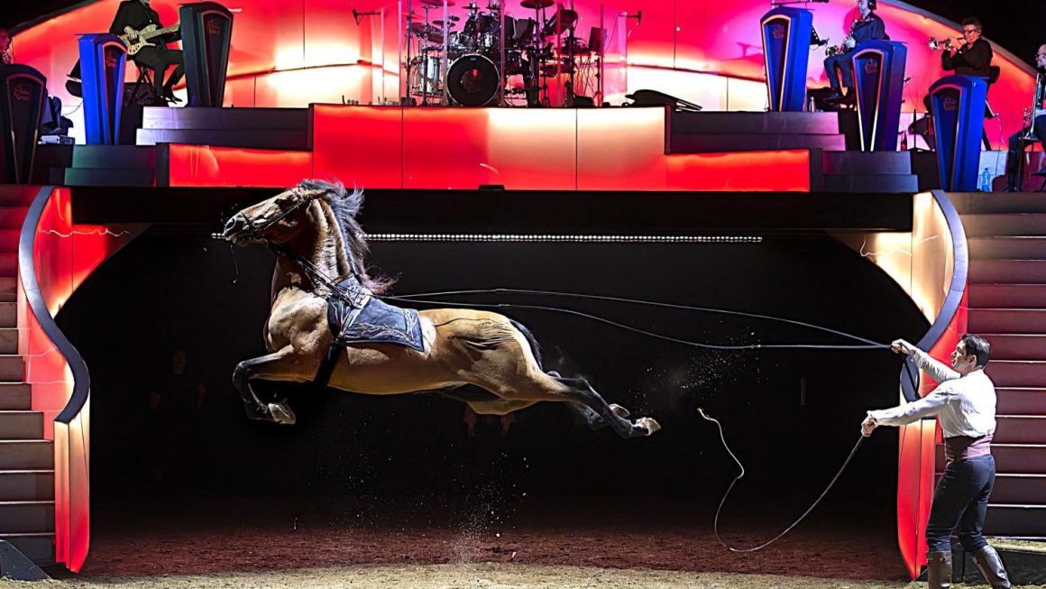 Une Nouvelle Expérience Spectaculaire aux Folies Gruss à Paris
