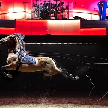 Une Nouvelle Expérience Spectaculaire aux Folies Gruss à Paris