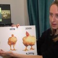 Consommation de poulet en France : Impact et qualité