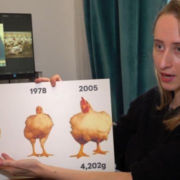 bc754d84-83ab-4717-8b7d-c5657cec0690 Consommation de poulet en France : Impact et qualité