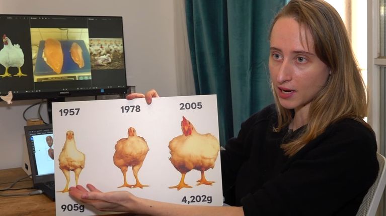 bc754d84-83ab-4717-8b7d-c5657cec0690 Consommation de poulet en France : Impact et qualité