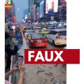 La vidéo des rues de Bangkok avec des poissons-chats : réalité ou fiction ?