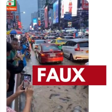 La vidéo des rues de Bangkok avec des poissons-chats : réalité ou fiction ?