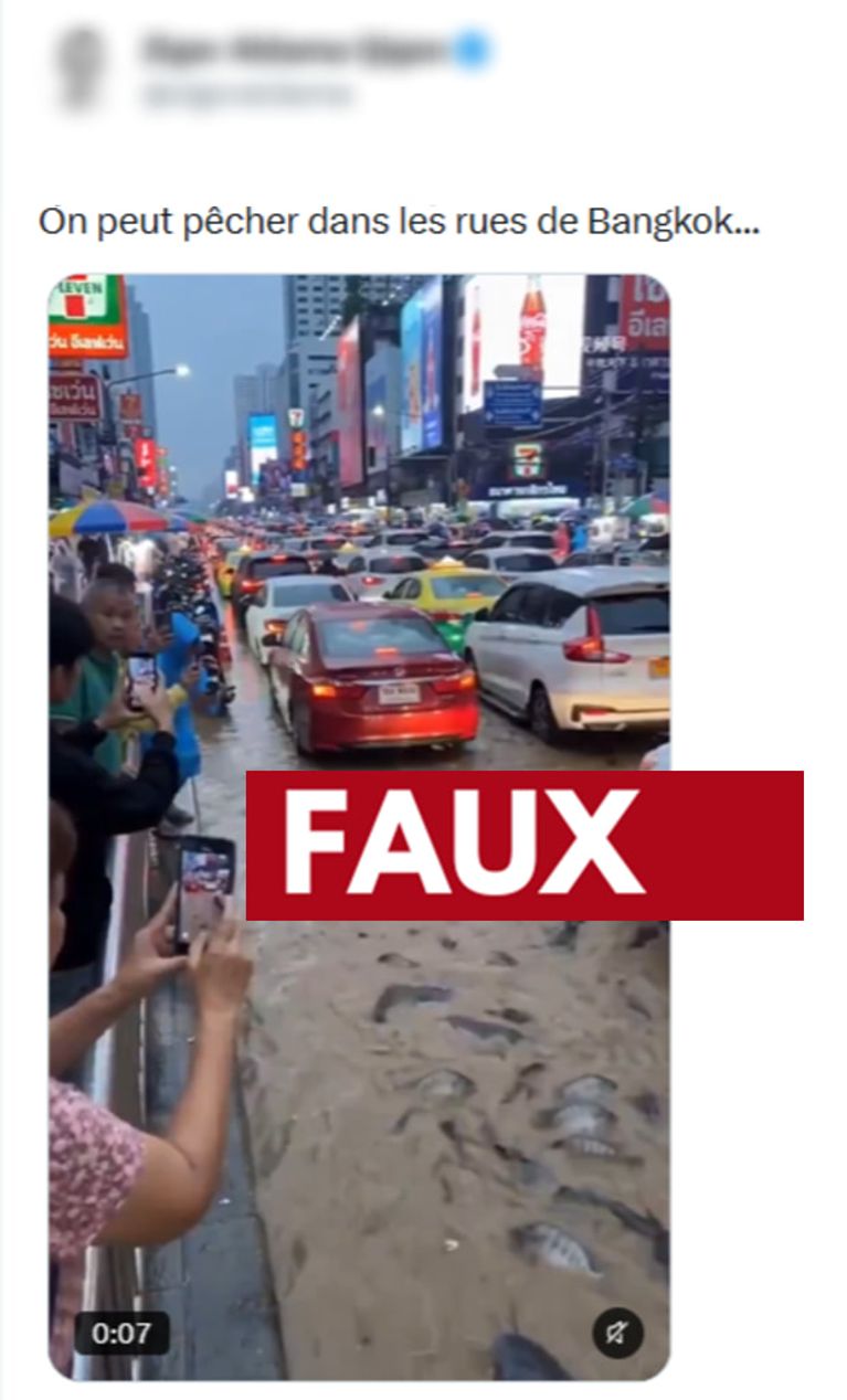 cabfa1dc-4667-4ac9-952d-f677b965051d La vidéo des rues de Bangkok avec des poissons-chats : réalité ou fiction ?