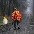 Conflits entre chasseurs et sportifs en forêt depuis 2020