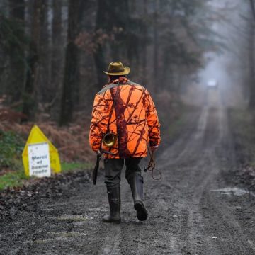 Conflits entre chasseurs et sportifs en forêt depuis 2020