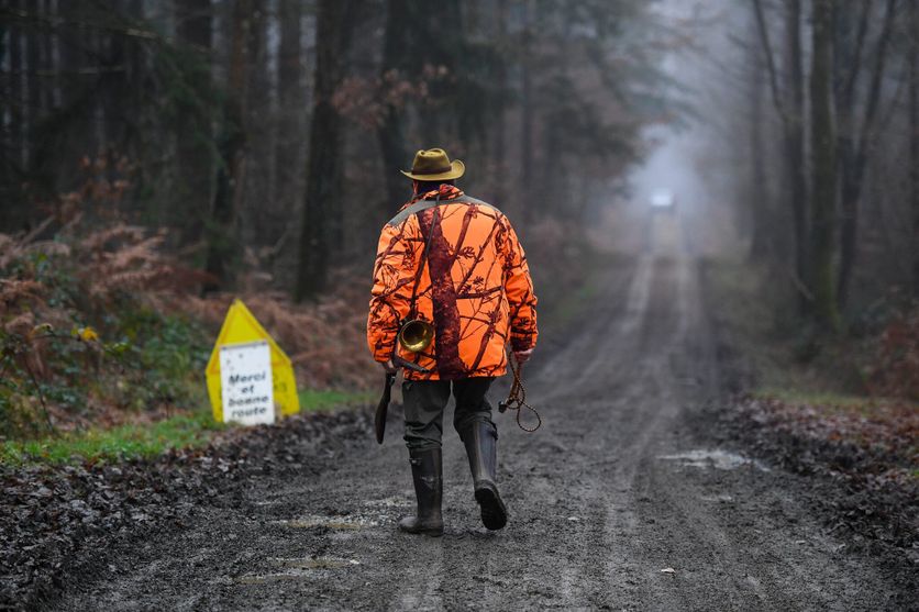 Reportage avec l'office français de la biodiversité Conflits entre chasseurs et sportifs en forêt depuis 2020