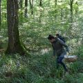 Prudence recommandée lors de la cueillette de champignons